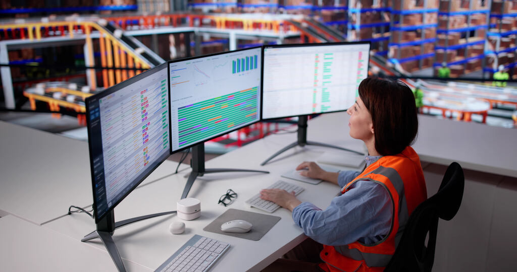 Software para transportadora